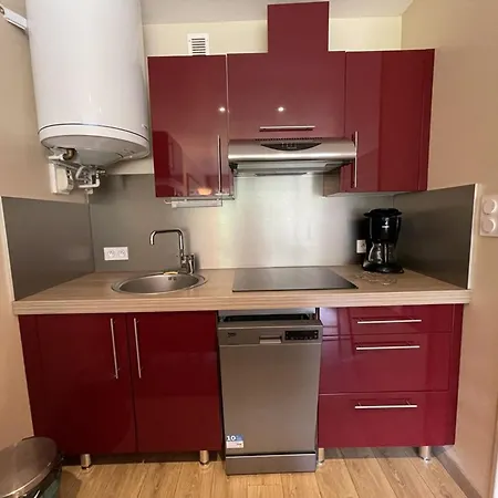 Apartamento Avec Balcon, Cuisine Equipee Et Wi-fi Au Lioran - Fr-1-787-70